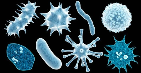 social-virus-germ-bacteria
