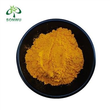 Serbuk Ekstrak Curcumin
