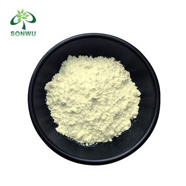 Serbuk Sulforaphane