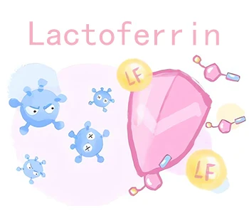 Adakah Lactoferrin Benar-benar Berfungsi?