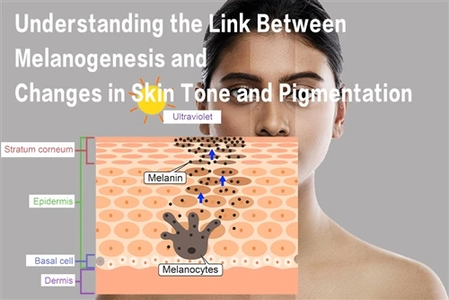Memahami Pautan Antara Melanogenesis Dan Perubahan Tona Kulit Dan Pigmentasi