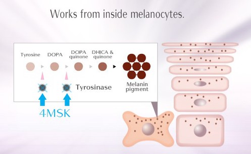 68Potassium 4-methoxysalicylate A 68Potassium 4-methoxysalicylate A