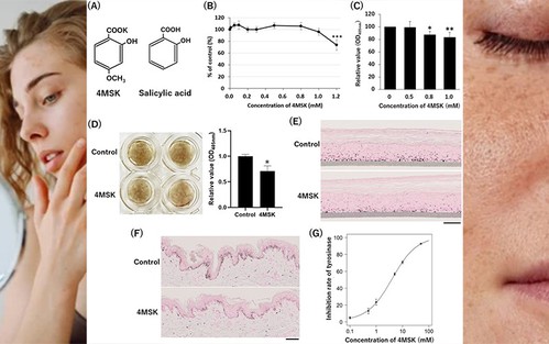 68Potassium 4-methoxysalicylate B 68Potassium 4-methoxysalicylate B